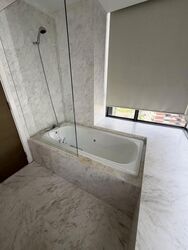 The Trizon (D10), Condominium #638204871